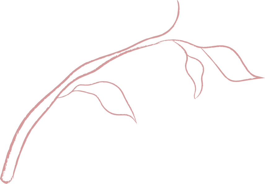 jasmine branch white1